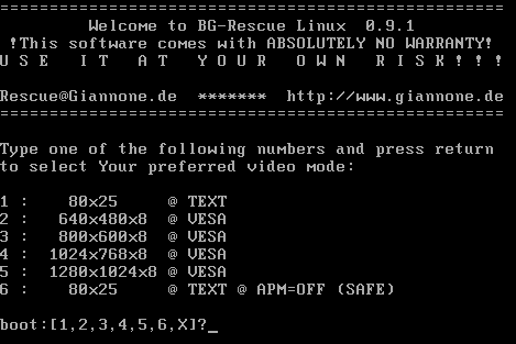 BG-Rescue Linux �N�����