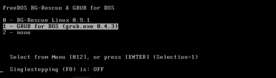 BG-Rescue Linux �N�����